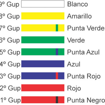 Teoría de Cinturón Amarillo